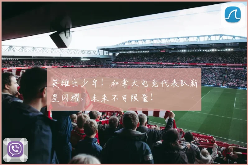 英雄出少年！加拿大电竞代表队新星闪耀，未来不可限量！