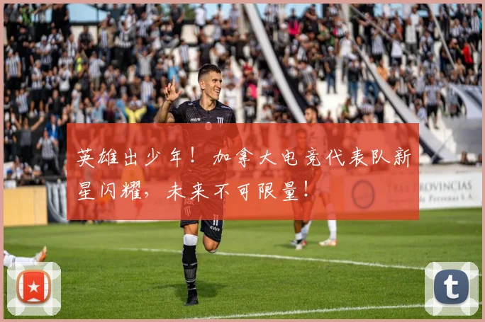 英雄出少年！加拿大电竞代表队新星闪耀，未来不可限量！